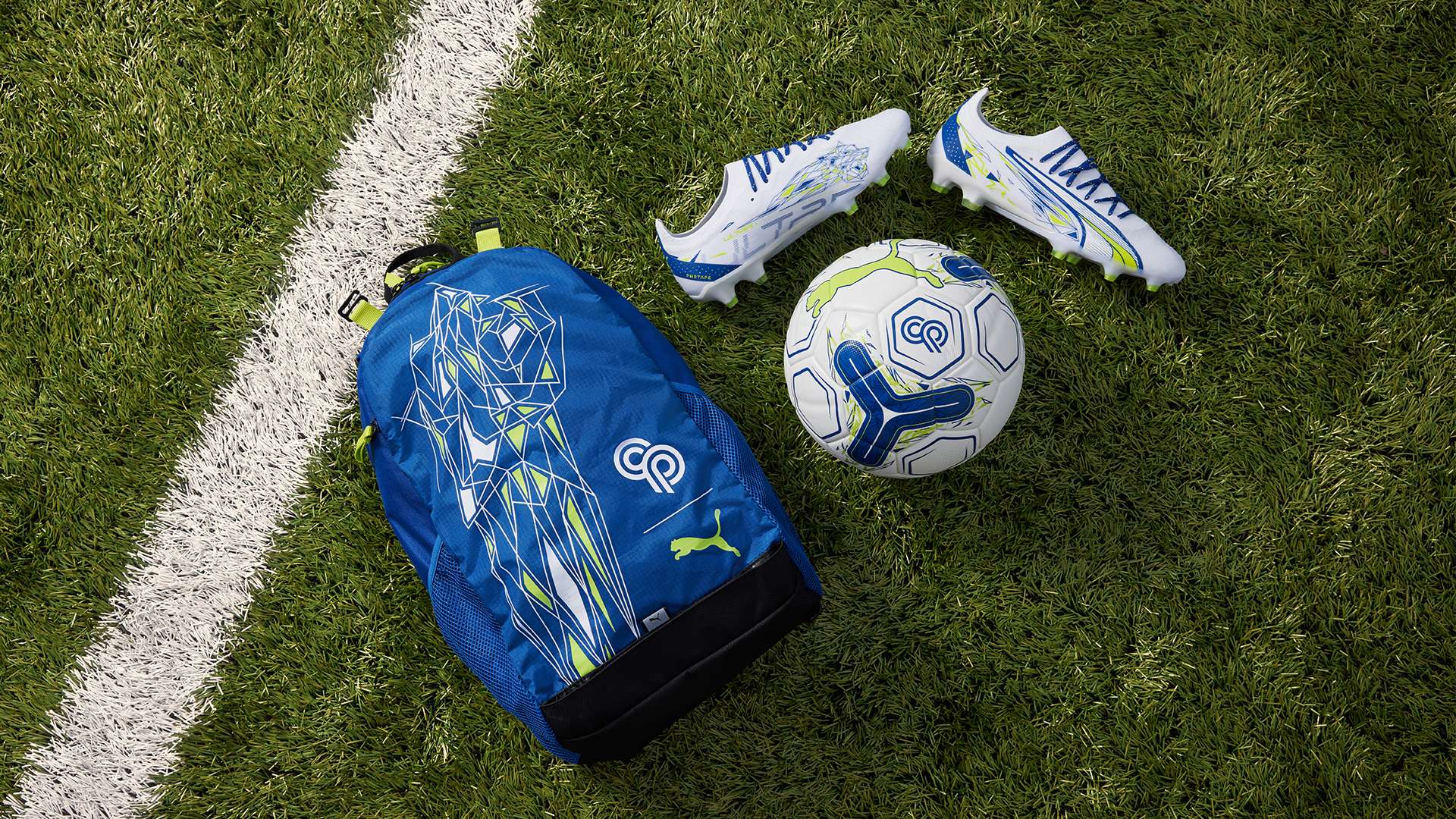 的默契配合 的默契配合