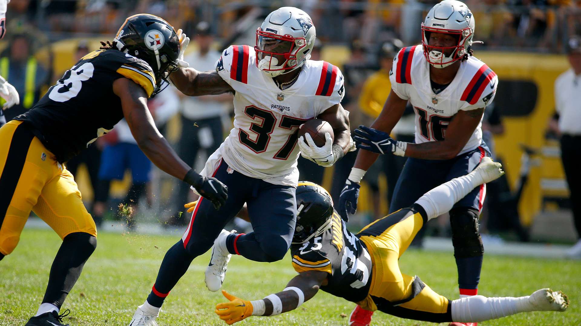 意大利队的 意大利队的